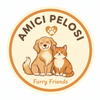 Translation missing: it.Amici Pelosi accessibility.home